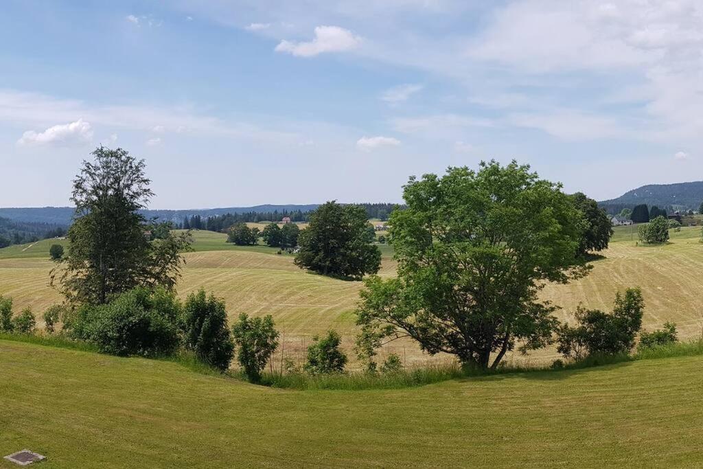 Appartement Les Rousses, Jura Eksteriør bilde