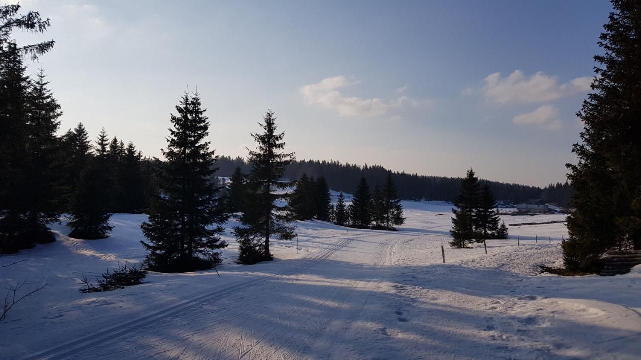 Appartement Les Rousses, Jura Eksteriør bilde